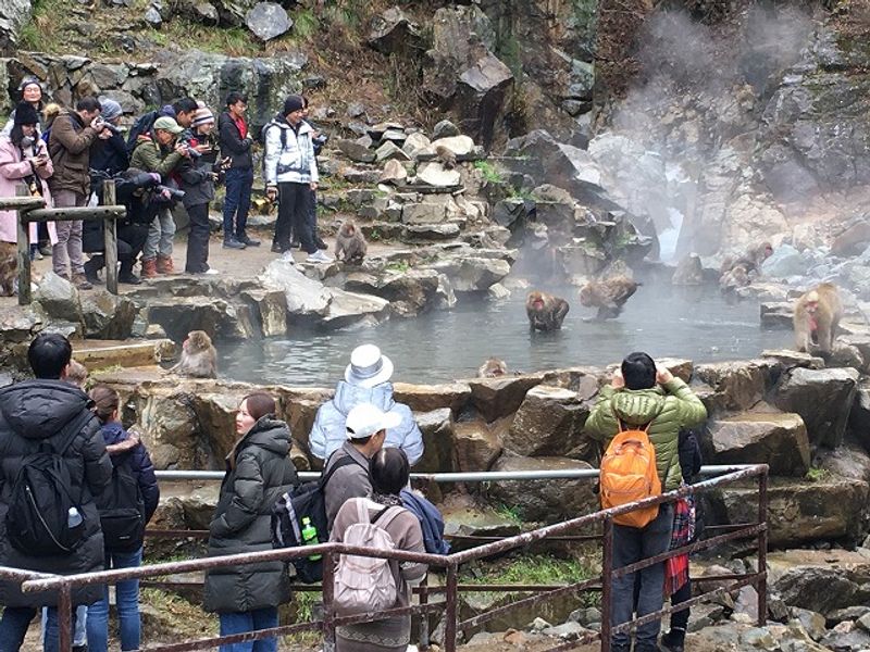 Nagano Private Tour - Hot spring bath