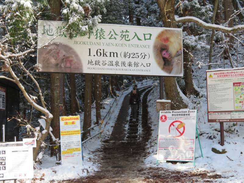 Nagano Private Tour - The way to the park