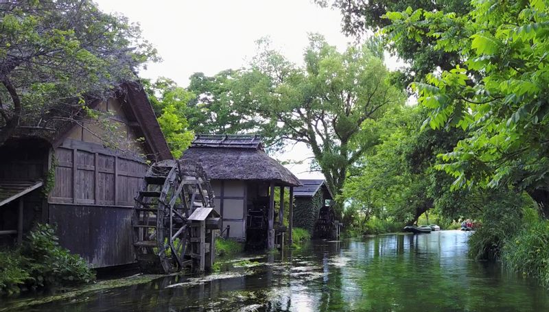 Nagano Private Tour - Water wheel in Daio Wasabi Farm 1