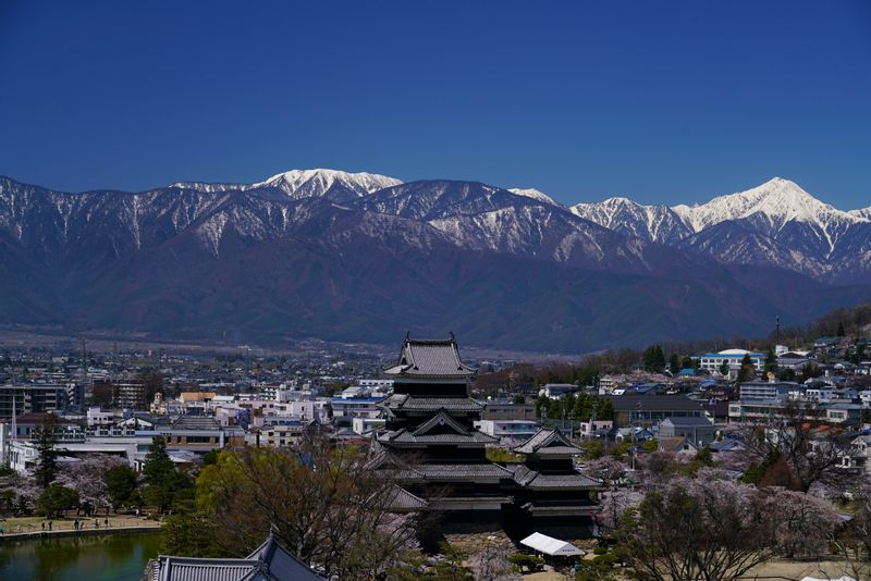 Nagano Private Tour - Matsumoto Castle 3