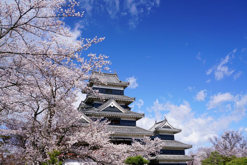 Nagano Private Tour - Matsumoto Castle 1