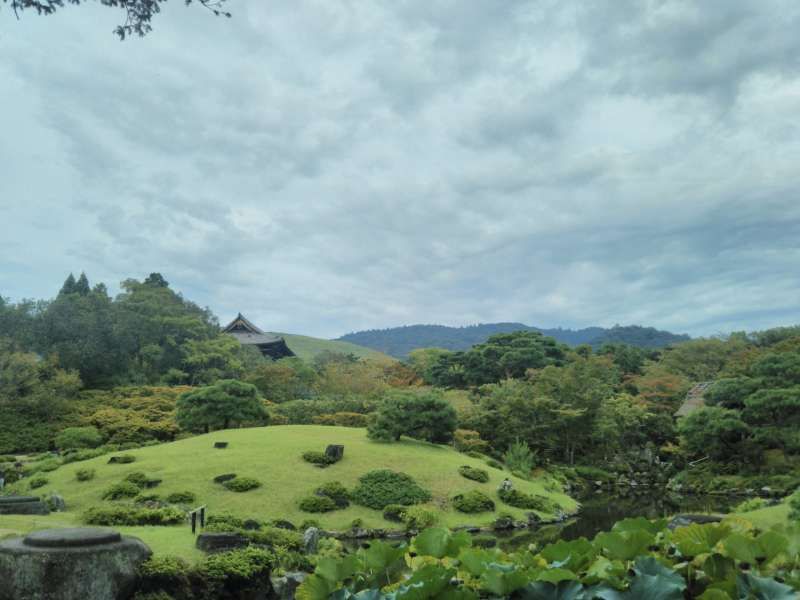 Nara Private Tour - Isuien Garden in Nara