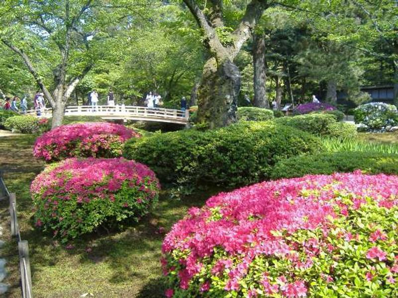 Kanazawa Private Tour - Azalia at Kenrokuen garden