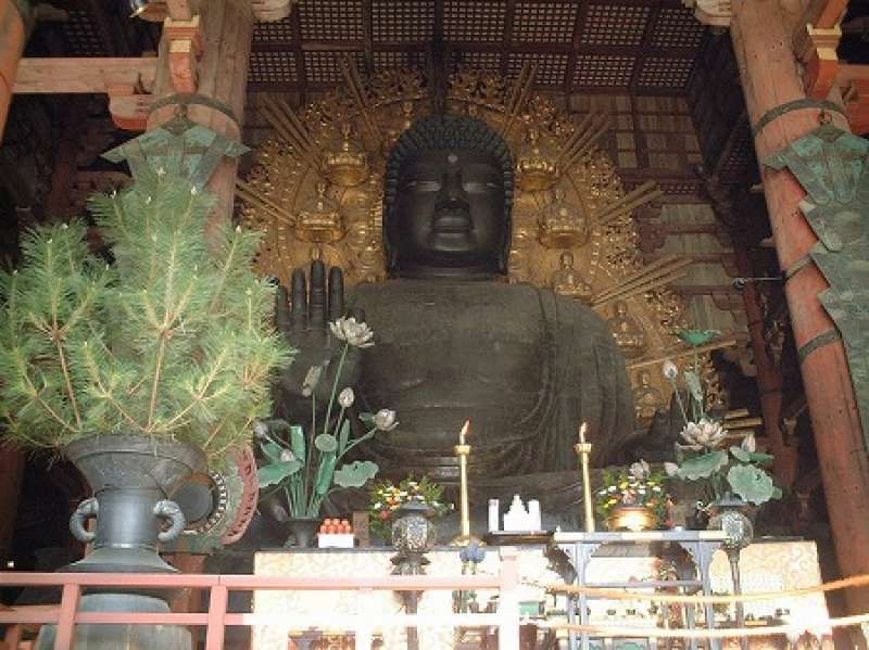 Nara Private Tour - great statue of Buddha in Todaiji temple