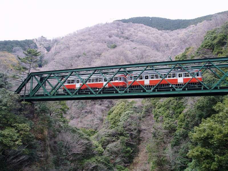 Hakone Private Tour - Mountain Train