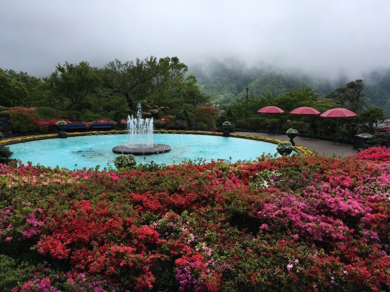 Hakone Private Tour - Gora Park