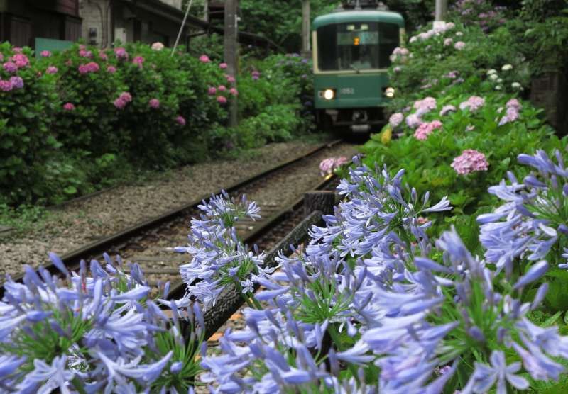 Kamakura Private Tour - 