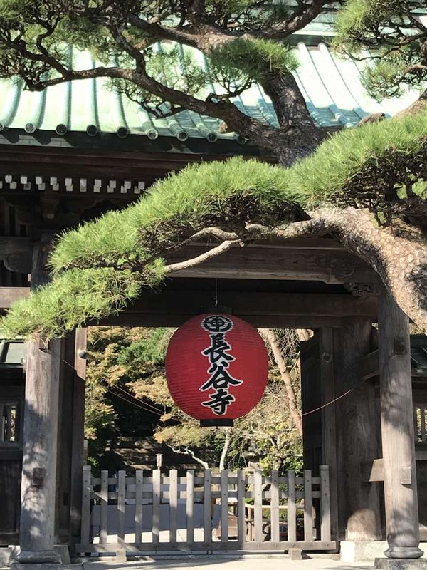 Kamakura Private Tour - Hase Temple