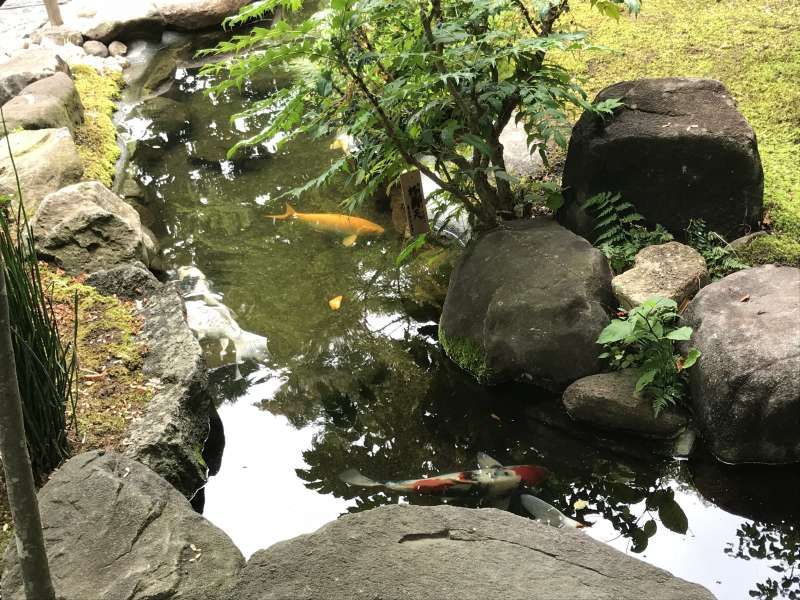 Kamakura Private Tour - Hase Temple