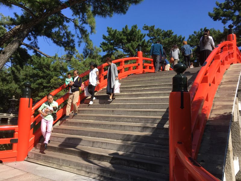 Osaka Private Tour - Sumiyoshi Shinto Shrine (One of the famous shrines in Japan (you can learn the difference between Shintoism and Buddhism and how to worship. A photo in front of this red bridge will be memorable.).