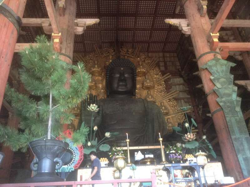 Nara Private Tour - Huge Buddha statue in Toudaiji Temple
You will catch your breath when you will look up the huge statue.