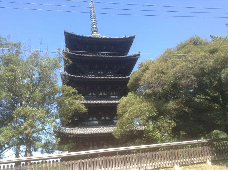 Nara Private Tour - Five-storied pagoda in Koufukuji Temple