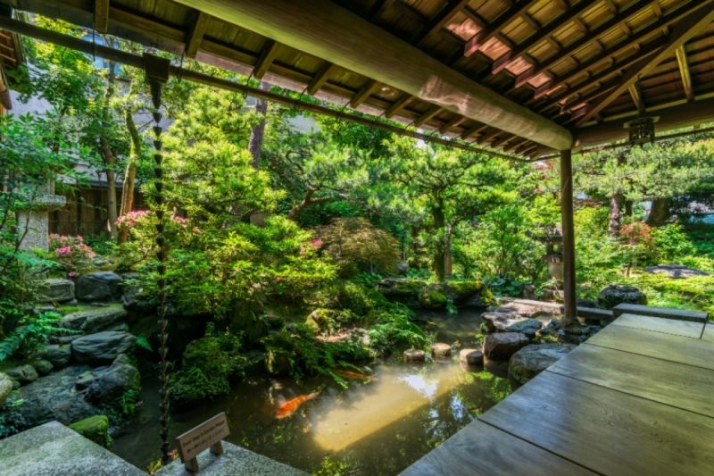 Fukui Private Tour - Garden(Sit and View Type) in Nomura samurai house.