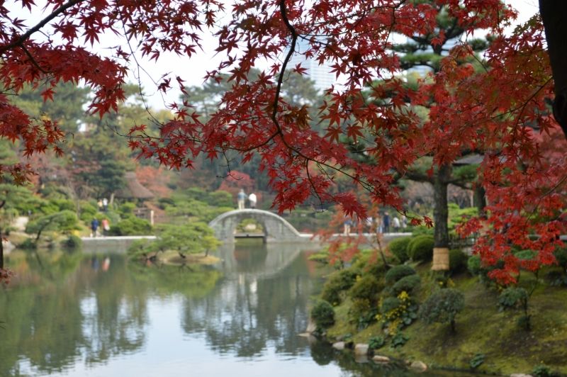 Hiroshima Private Tour - Shukkei-en Japanese Garden