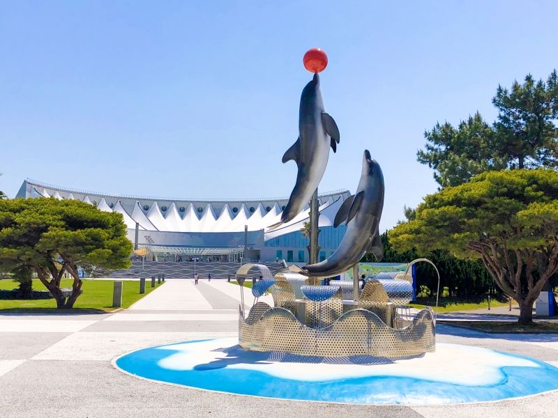 Fukuoka Private Tour - Marine World