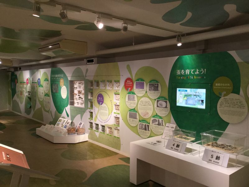 Yokohama Private Tour - Silk Museum (Production of silk from cocoons)