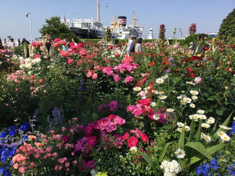 Yokohama Private Tour - Yamashita park, flower garden along the Yokohama Bay