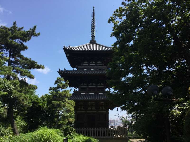 Yokohama Private Tour - Sankei-En Japanese garden (Three story pagoda built in 1457)
