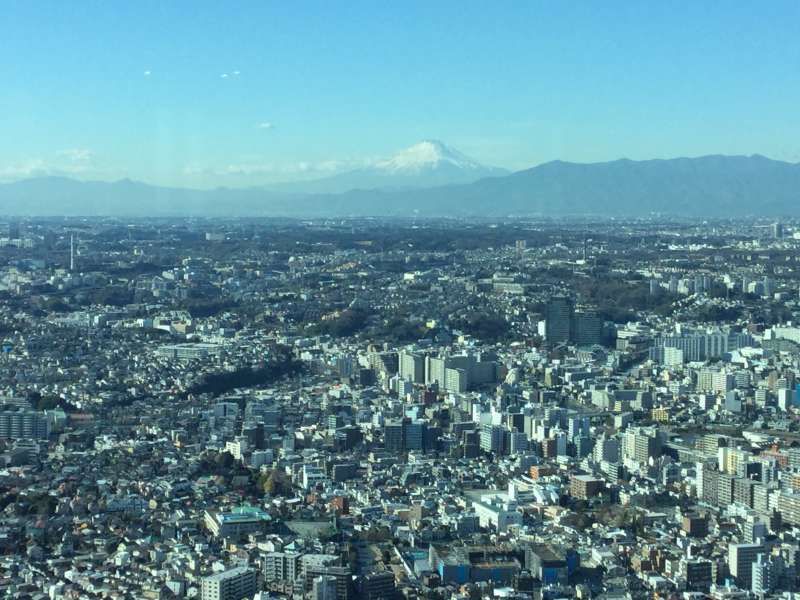 Yokohama Private Tour - Landmark Tower, you can see a distant view of Mt. Fuji on a clear day.