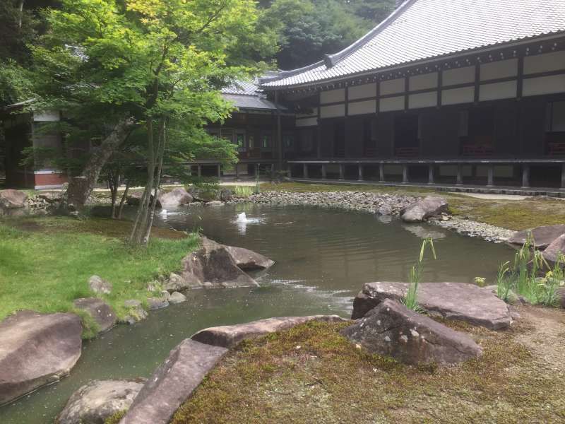 Kamakura Private Tour - Shinji-ike Pond in Engaku-ji Temple