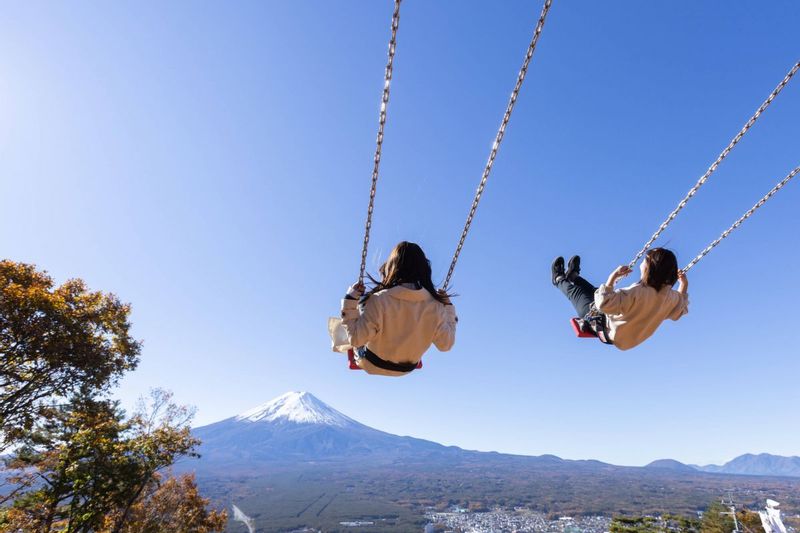 Mount Fuji Private Tour - 富士山絕景盪鞦韆