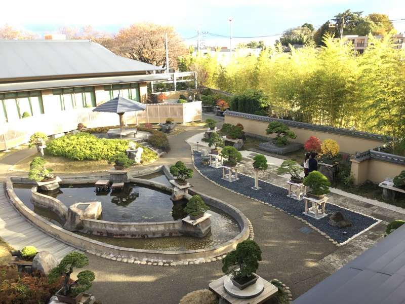 Saitama Private Tour - Bonsai Display in garden where Various types of Bonsai are displayed