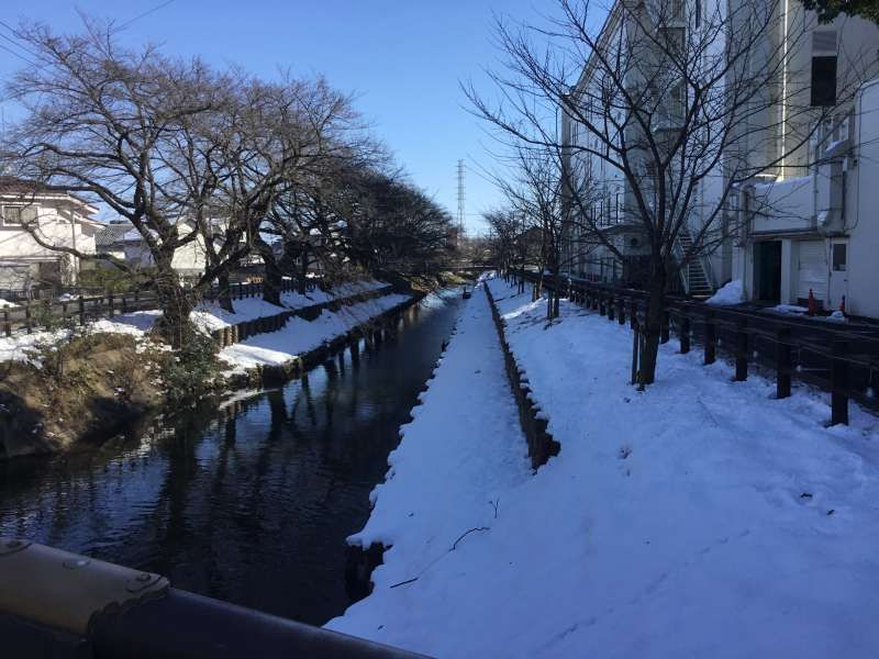 Saitama Private Tour - Shingashigawa river used to be a main artery as flow of goods between Edo and Kawagoe