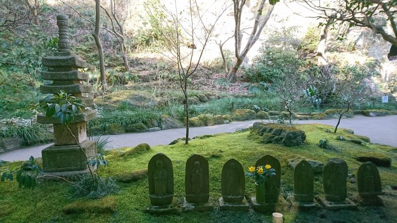 Kamakura Private Tour - A moss-covered garden at the Bamboo Temple