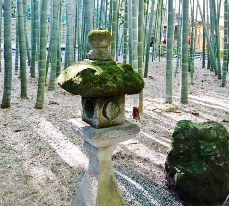 Kamakura Private Tour - A stone lantern in the bamboo grove