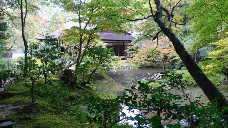 Kyoto Private Tour - 