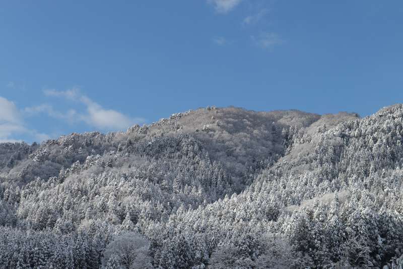 Shiga Private Tour - Winter Landscape along Lake Yogo [3 of 3]