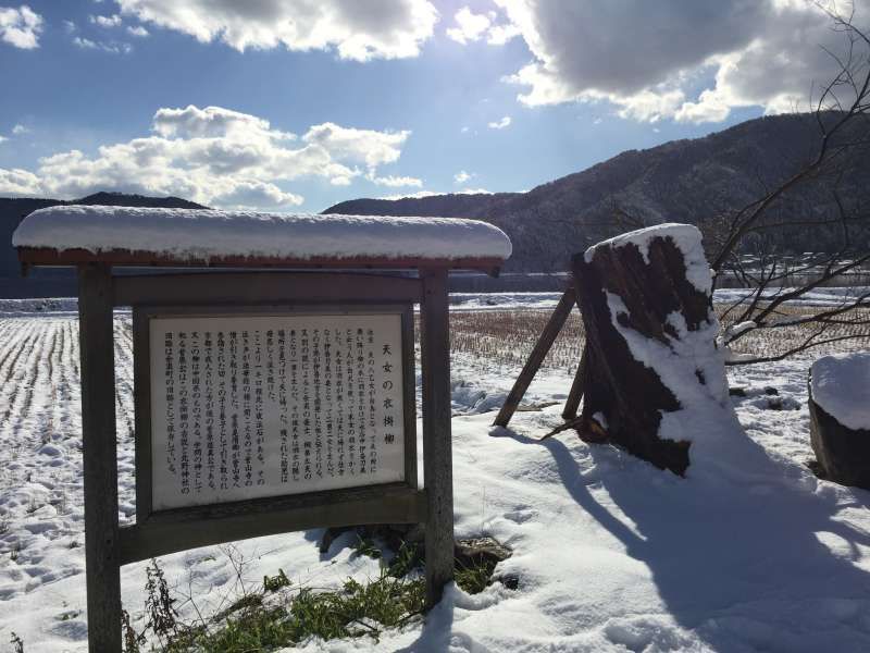 Shiga Private Tour - The Willow Tree that the Angel Hung Her Plumage (From “Plumage Legend”) 