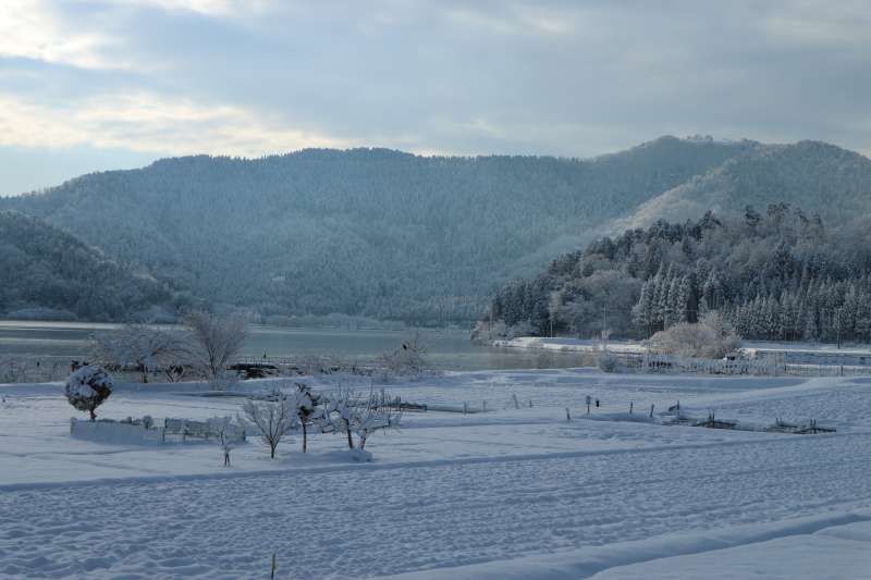 Shiga Private Tour - Winter Landscape along Lake Yogo [2 of 3]