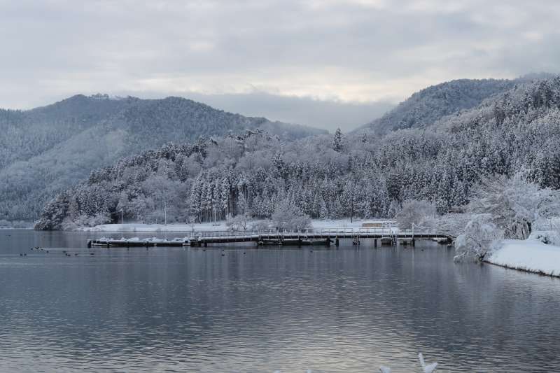 Shiga Private Tour - Winter Landscape along Lake Yogo [1 of 3]