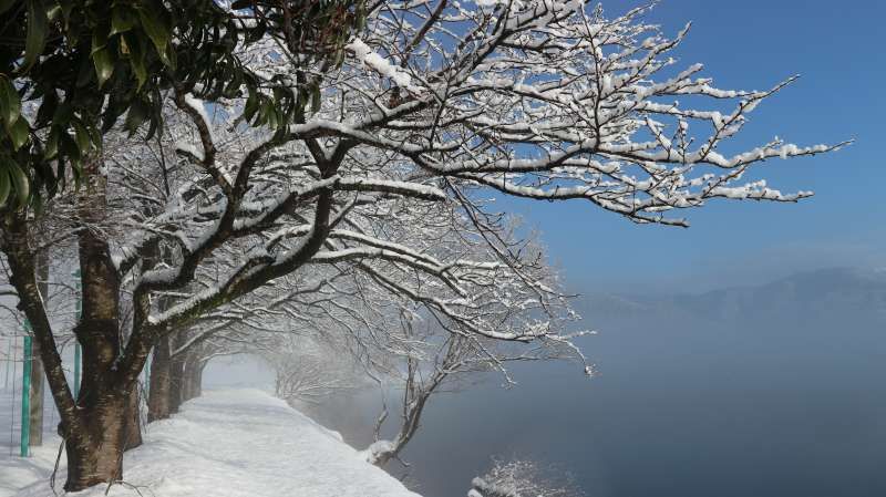 Shiga Private Tour - Lake Yogo in the Foggy Morning (余吴湖在有雾的早晨) [3 of 4]