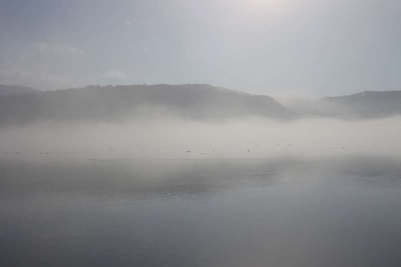 Shiga Private Tour - Lake Yogo in the Foggy Morning (余吴湖在有雾的早晨) [2 of 4]