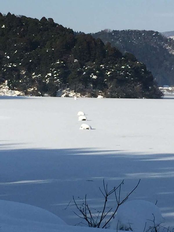 Shiga Private Tour - Interesting Shape of Snow on the Surface of the Lake