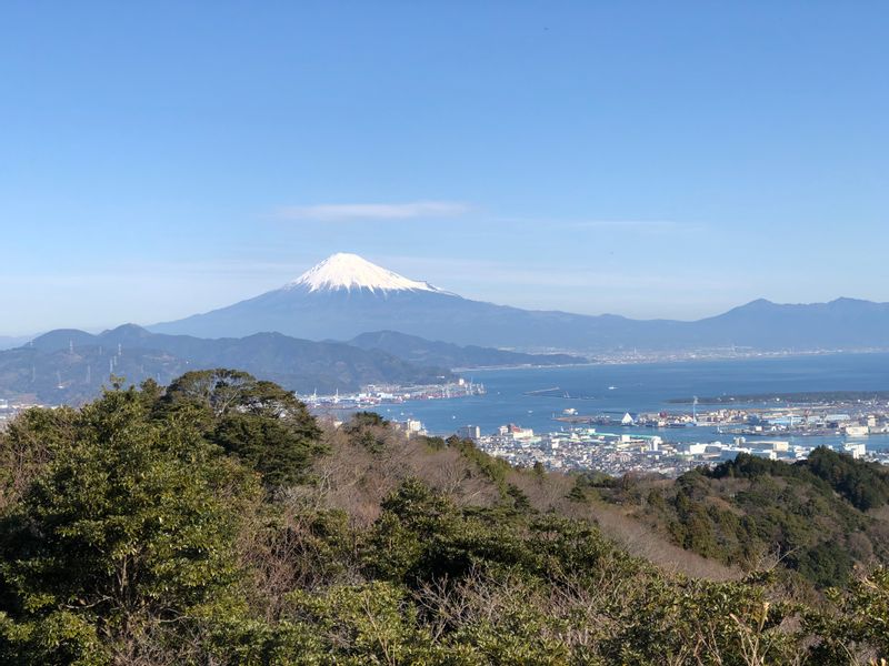 Shizuoka Private Tour - Mt. Fuji viewing at Nihondaira Dream Terrace