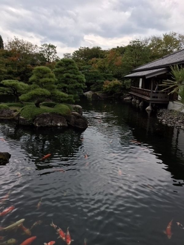 Himeji Private Tour - Kokoen Japanese Style Garden, built in the former samurai house and estate, is just 5 minute walk from Himeji Castle