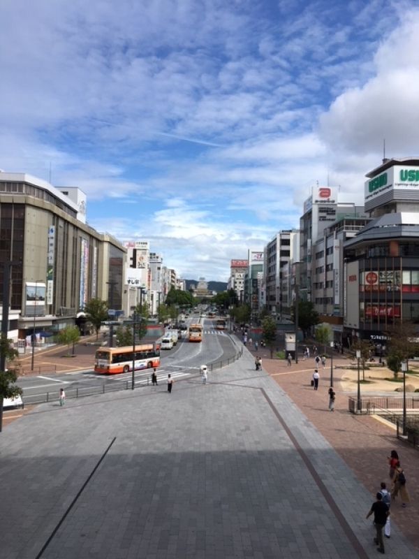 Himeji Private Tour - Main street toward Himeji Castle, viewed from JR Himeji Station. Now we are standing on the outer moat of the castle. There used to be a ninjya community inside the outer moat.