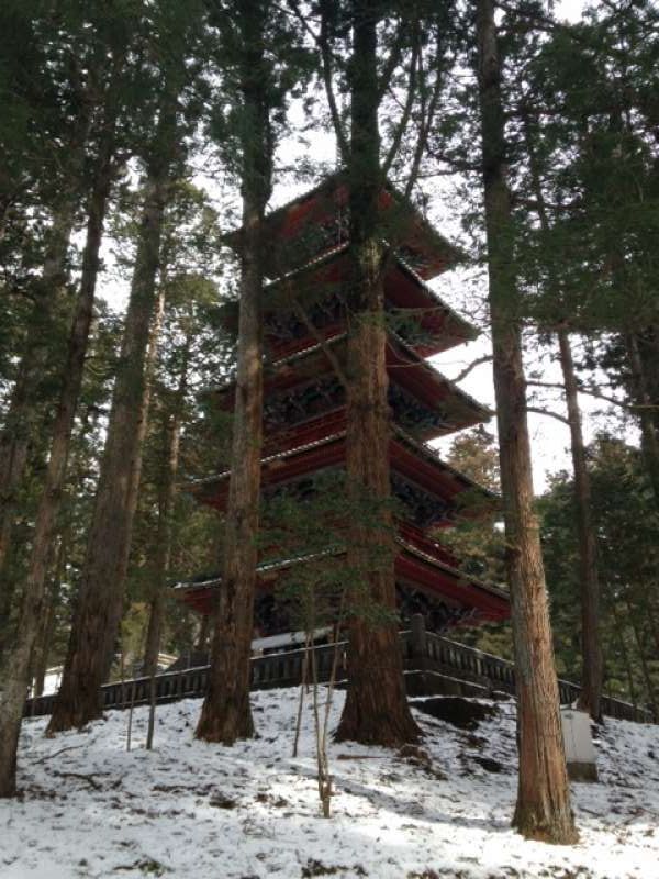 Tokyo Private Tour - Five-storied Pagoda