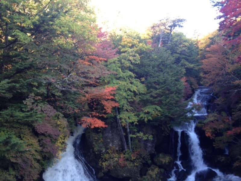 Tokyo Private Tour - Ryuzu Waterfall