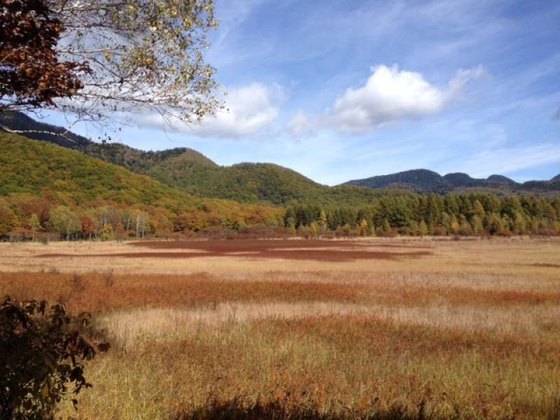 Tokyo Private Tour - Wetland