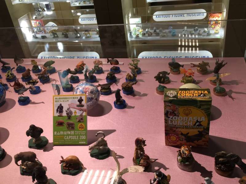 Shiga Private Tour - Many kinds of Animals at Capsule Zoo
At Kaiyodo Figure Museum Kurokabe