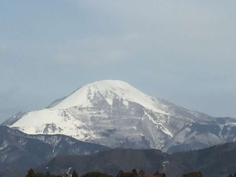 Shiga Private Tour - Mt. Ibuki (伊吹山)