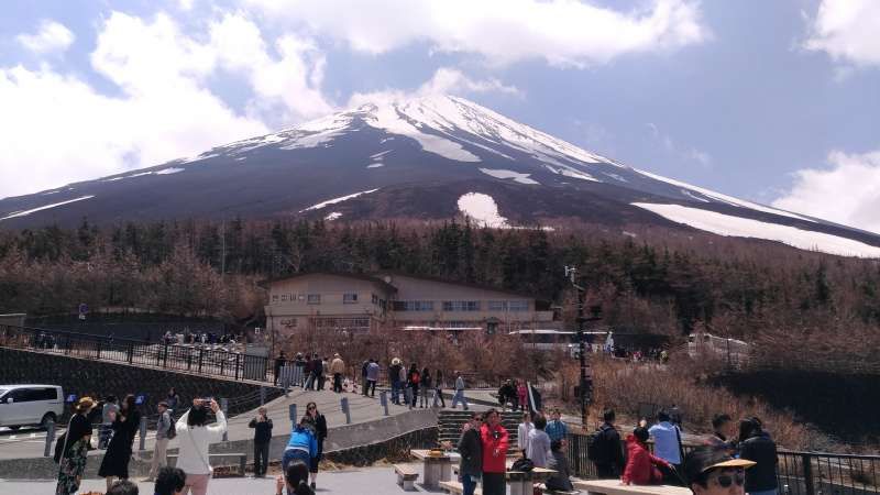 Mt Fuji Fifth Station Lava Cave Aokigahara Virgin Forest Yamanashi   48900 