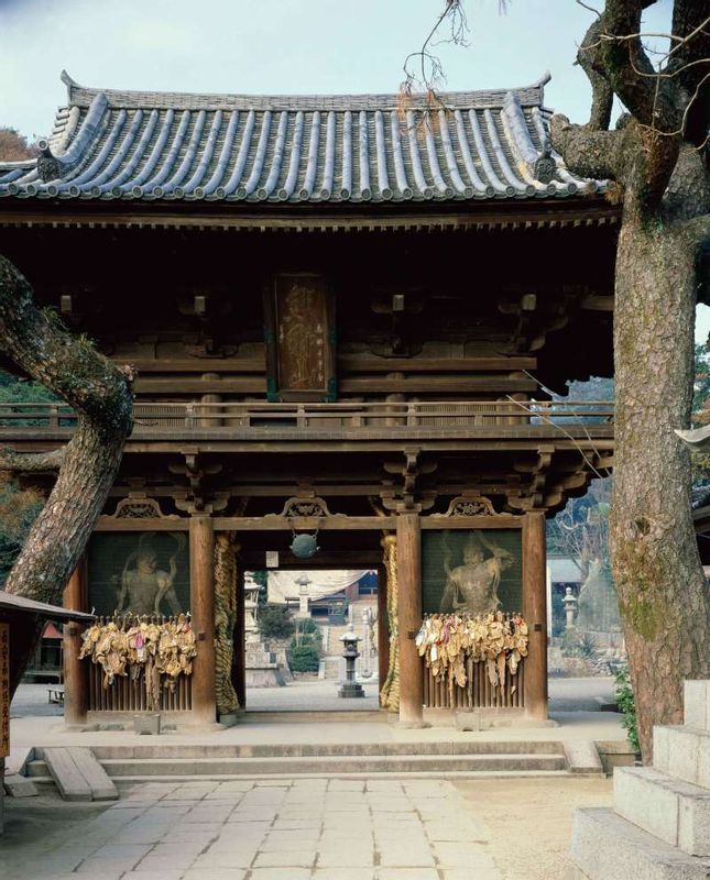 Ehime Private Tour - Ishiteji Temple