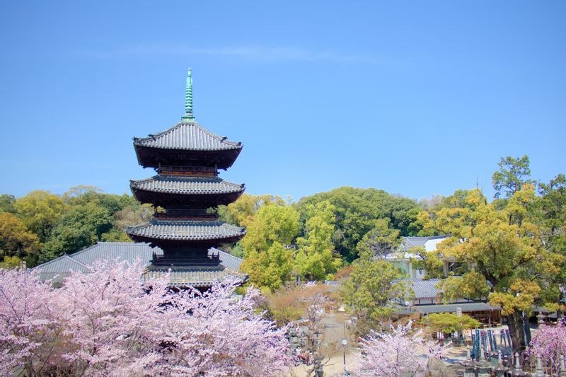 Nagoya Private Tour - KOUSHO-JI Temple