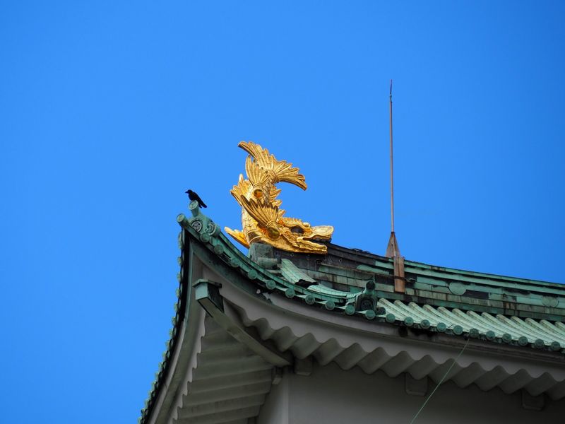 Nagoya Private Tour - Golden Shachihoko