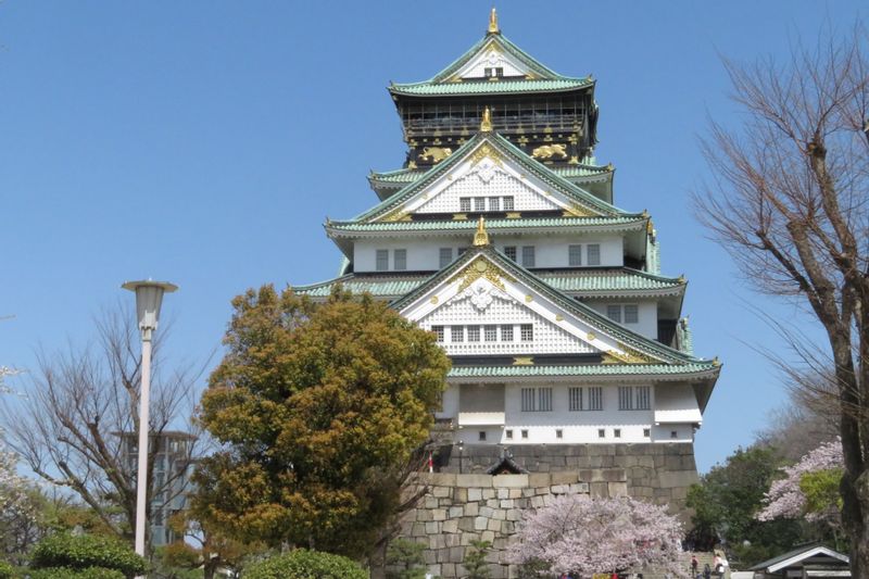 Nagoya Private Tour - Nagoya Castle